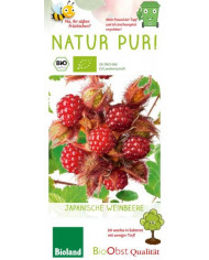 Bio Japanische Weinbeere Bio Japanische Weinbeere