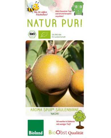 Bio Nashi, Asiatische Apfelbirne 'Aromspur Nashi' Bio Nashi, Asiatische Apfelbirne 'Aromspur Nashi'