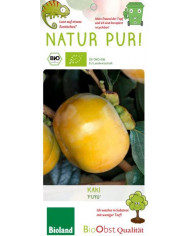 Bio Echter Wasabi, Japanischer Meerrettich Bio Echter Wasabi, Japanischer Meerrettich