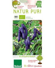 Bio Chinesischer Gemüsebaum Bio Chinesischer Gemüsebaum