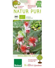 Bio Feijoa, Ananasguave, Brasilianische Guave