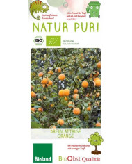 Bio Zitrus Citromelo, Citrumelo Bio Zitrus Citromelo, Citrumelo