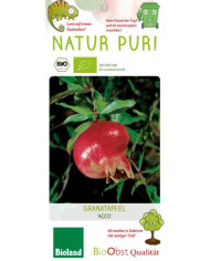 Bio Granatapfel Acco Bio Granatapfel Acco