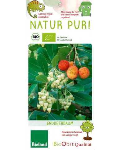 Bio Erdbeerbaum