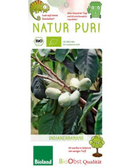 Bio Japanische Faserbanane