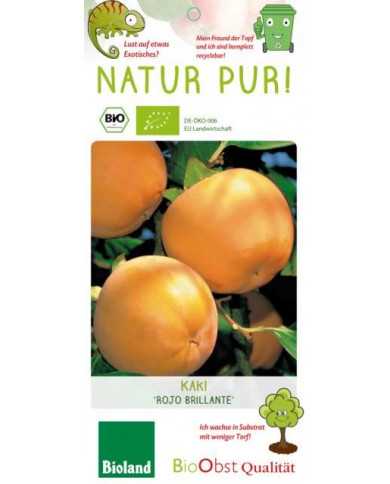 Bio Kaki/Persimone "Rojo Brillante"