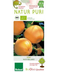 Bio Kaki/Persimone "Rojo Brillante" Bio Kaki/Persimone "Rojo Brillante"