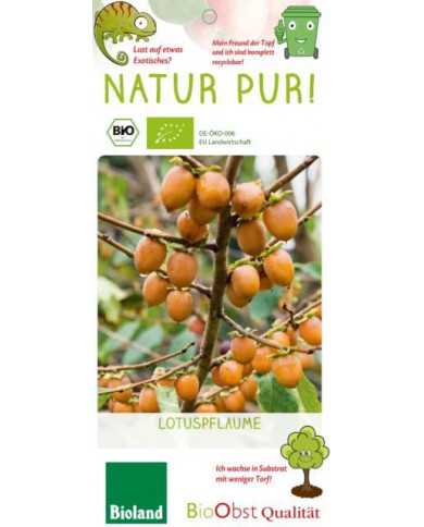 Bio Lotuspflaume