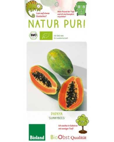 Bio Papaya (nicht winterhart)
