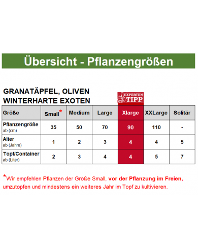 Bio Granatapfel Acco