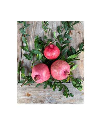 Bio Granatapfel - Sirenevyi