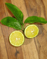 Bio Zitrus Bergamotte (**) Bio Zitrus Bergamotte (**)