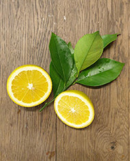 Bio Zitrus Orange 'Korolok Batumskij' (*)