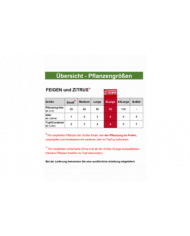Bio Feigenbaum UCR 143-28 (*) Bio Feigenbaum UCR 143-28 (*)
