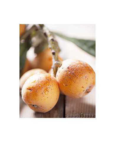 Bio Japanische Wollmispel