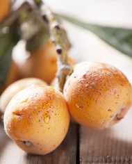 Bio Japanische Wollmispel