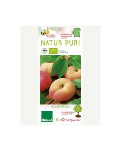 Bio Zitrus Dreiblättrige Orange, Bitterorange, Poncirus trifoliata Bio Zitrus Dreiblättrige Orange, Bitterorange, Poncirus trifoliata