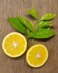 biozitrusgrapefruit'gruevidnyj' biozitrusgrapefruit'gruevidnyj'