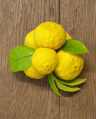 biozitrusyuzu biozitrusyuzu