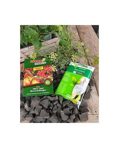 pflanzset freilandpflanzung