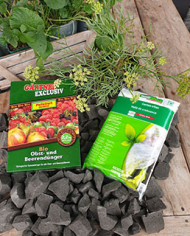 pflanzset freilandpflanzung pflanzset freilandpflanzung