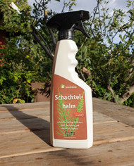 Bio Schachtelhalm Bio Schachtelhalm