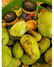 Indianerbanane, Pawpaw 'Sunflower'