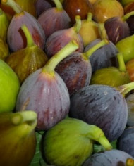 Bio Feigen, tiefgekühlt Bio Feigen, tiefgekühlt