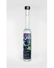 Wacholdergeist Wacholdergeist