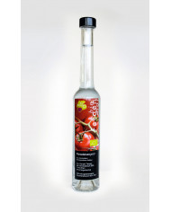 Paradeisergeist Paradeisergeist