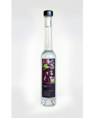 Trebernbrand Trebernbrand