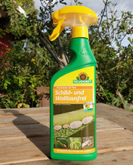 Schild- und Wolllausfrei