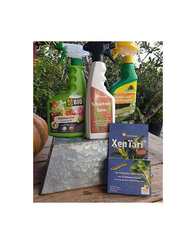 Vorteilspaket: Pflanzenstärkung /-schutz