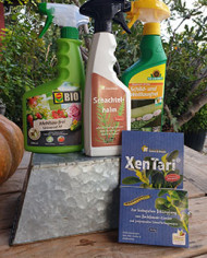 Vorteilspaket: Pflanzenstärkung /-schutz Vorteilspaket: Pflanzenstärkung /-schutz