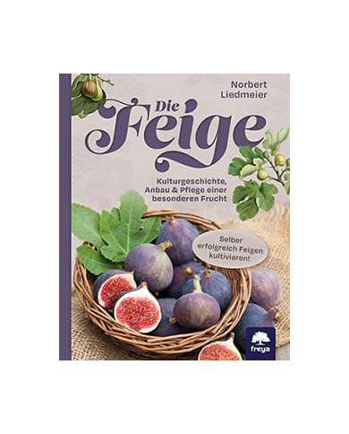 Die Feige - Buchempfehlung