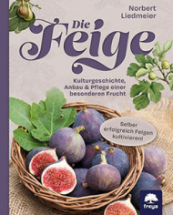 Die Feige - Buchempfehlung Die Feige - Buchempfehlung