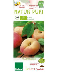 Bio Pfirsich 'Tellerpfirsich'