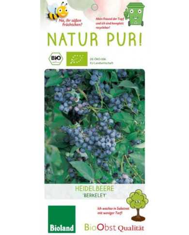 Bio Heidelbeere 'Berkeley'