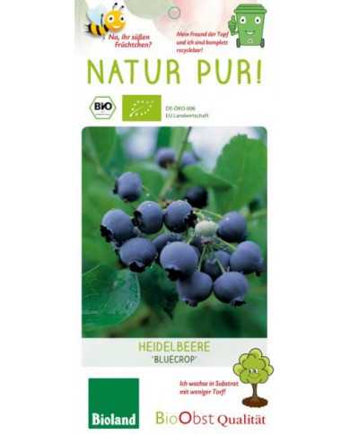 Bio Heidelbeere 'Bluecrop' Bio Heidelbeere 'Bluecrop'