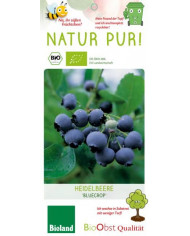 Bio Heidelbeere 'Duke' Bio Heidelbeere 'Duke'