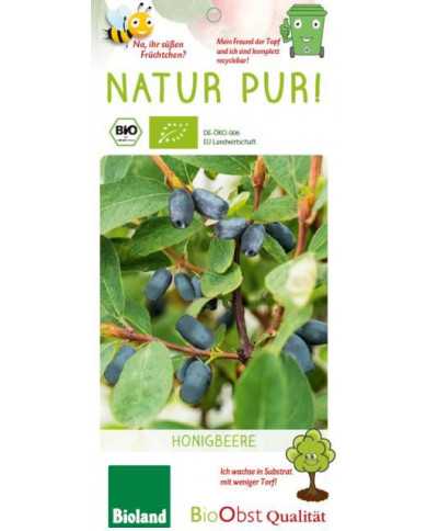 Bio Honigbeere/Maibeere/Sibirische Blaubeere 'Aurora'