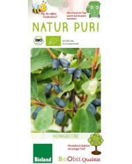 Bio Heidelbeere 'Duke' Bio Heidelbeere 'Duke'