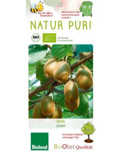 Bio Selbstfruchtbare Kiwi 'Jenny'