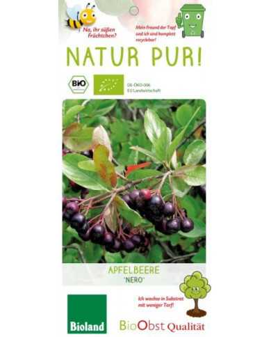 Bio Aronia/Apfelbeere 'Nero' Bio Aronia/Apfelbeere 'Nero'