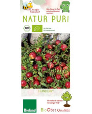 Bio Aronia/Apfelbeere 'Nero' Bio Aronia/Apfelbeere 'Nero'